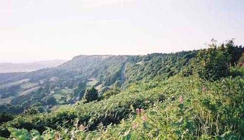 Views from the top of Sutton Bank