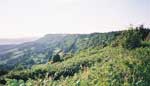 Views from the top of Sutton Bank