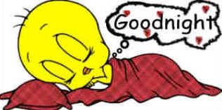 tweety pie asleep